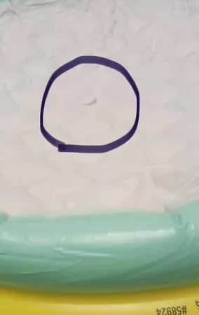 استخر بادی اینتکس مدل 58924