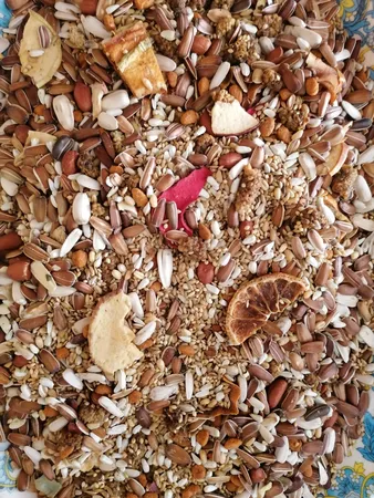 غذای عروس هلندی سلکتیو مدل COCKATIEL وزن 1 کیلوگرم