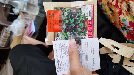 بذر گل نیلوفر رونده الوان سانیا سید مدل D5