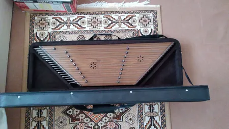 کیف و کاور سنتور مدل هارد کیس چرم