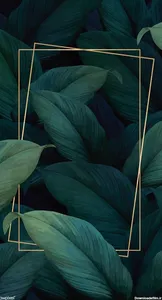 تجریه خرید دانه چیا ممتاز سرمد - 540 گرم