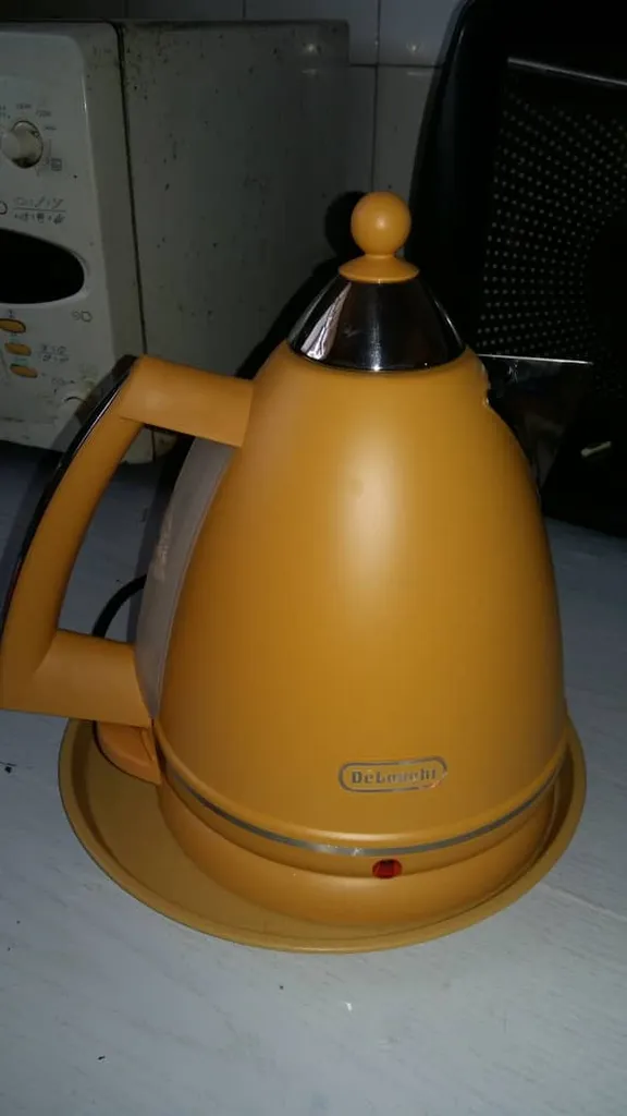 کتری برقی دلونگی مدل Argento Flora KBX3016