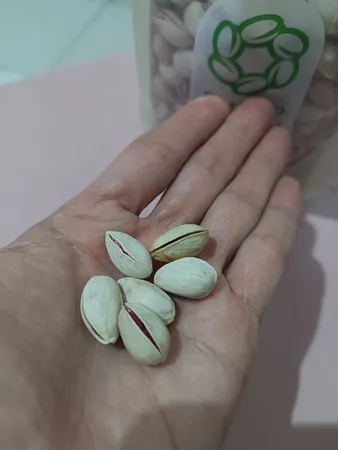 پسته احمدآقایی بوداده پستاکو - 500 گرم