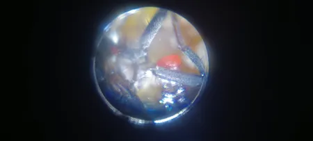 میکروسکوپ مدل 1200X