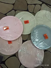 تجریه خرید بشقاب تخت پیک نیک یزدگل کد 134