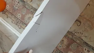 تجریه خرید میز کامپیوتر مدل الیت