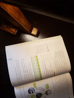 چراغ مطالعه کد P0410