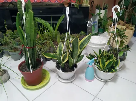 گلدان آویز شهرآذین مدل 5020 مجموعه سه عددی