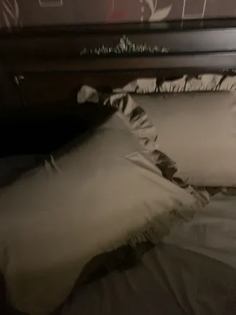 روبالشی مدل SA535 بسته 2 عددی