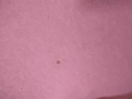 مقوا رنگی تیما کد BG سایز 25x35 سانتی متر بسته 50 عددی