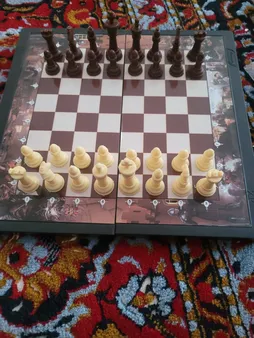 شطرنج آماندا مدل شوالیه