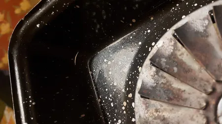 کباب پز روگازی صبا مدل رعنا