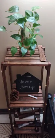 استند گلدان مدل i9