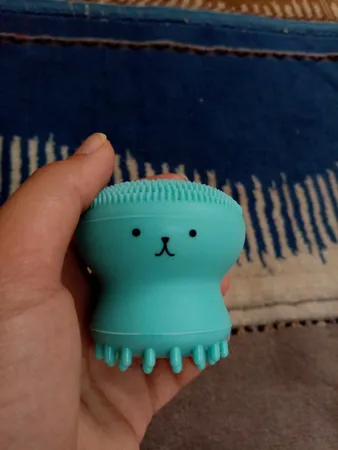 برس پاک‌سازی مدل B 0101