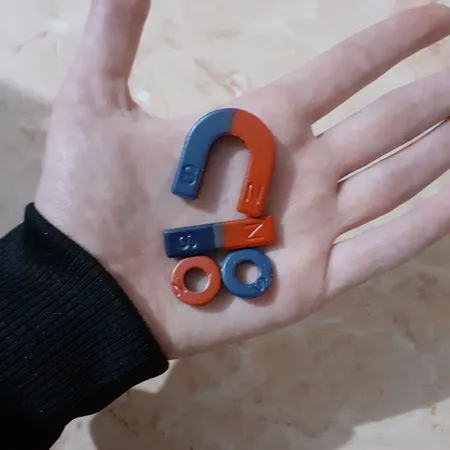 آهنربا مدل NS مجموعه ۴ عددی