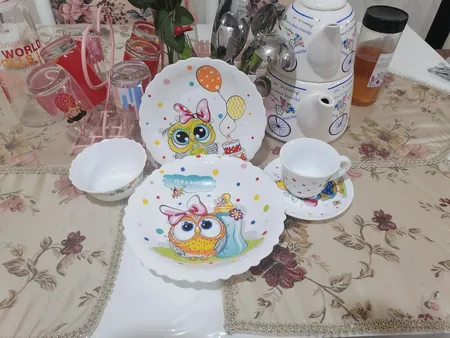 سرویس غذاخوری 5 پارچه پارس اپال طرح جغد کد 779