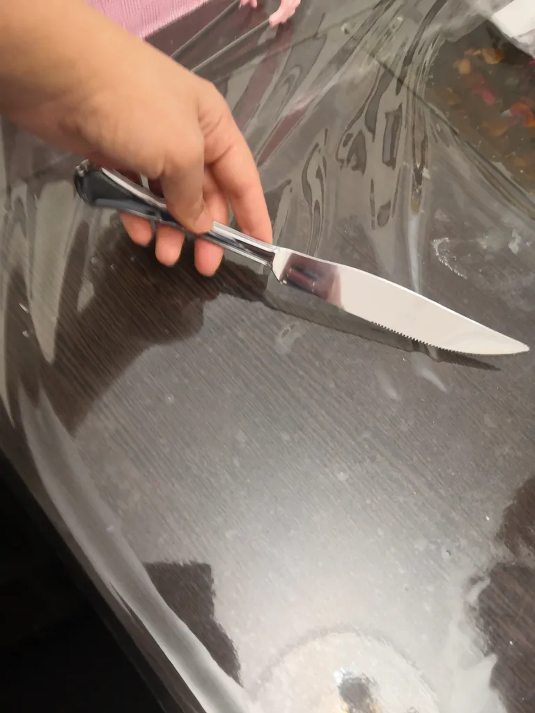 کارد سرو گوشت صنایع استیل ایران مدل پاشا رویال براق