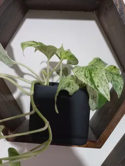 گلدان طرح مکعب مدل مهرنی 10-104