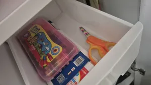 تجریه خرید نظم دهنده کامل مدل 413