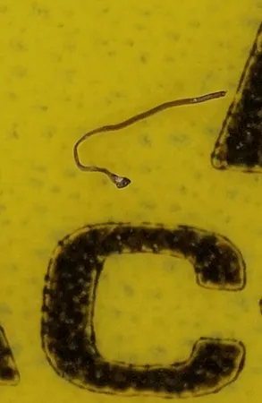 لنز میکروسکوپی اپیکسل مدل APL-MS002