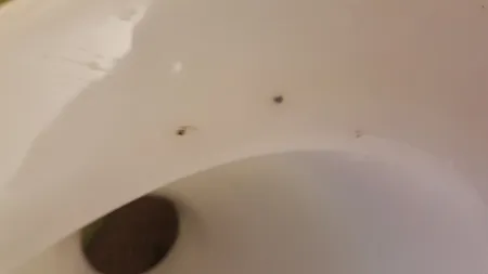 قیف توالت فرنگی مدل M1