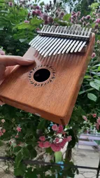 کالیمبا جکو مدل K17M