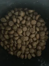 تجریه خرید غذای خشک گربه مفید مدل daily وزن 2 کیلوگرم