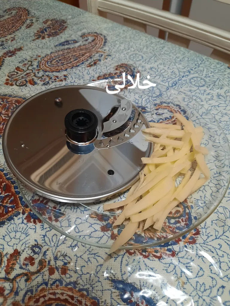 غذاساز تولیپس مدل Fp_a460