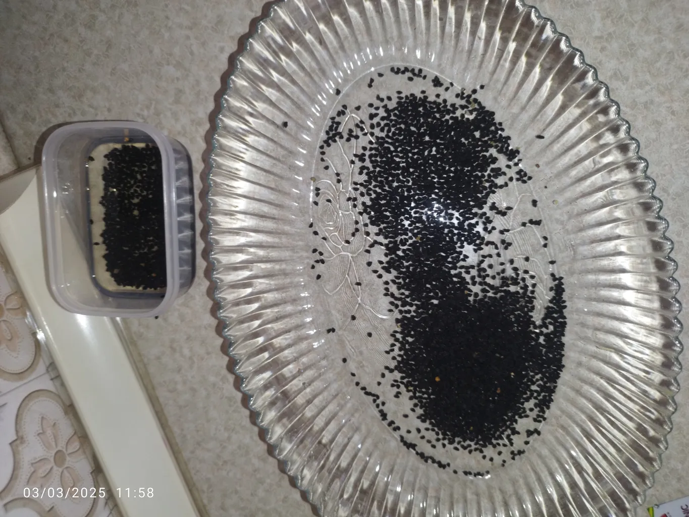 بذر تره بذر طلایی برتر کد BZT-90