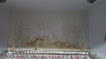 برچسب کابینت طرح ساده رنگ سفید