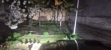 لامپ هدلایت خودرو مدل D9H3 بسته 2 عددی