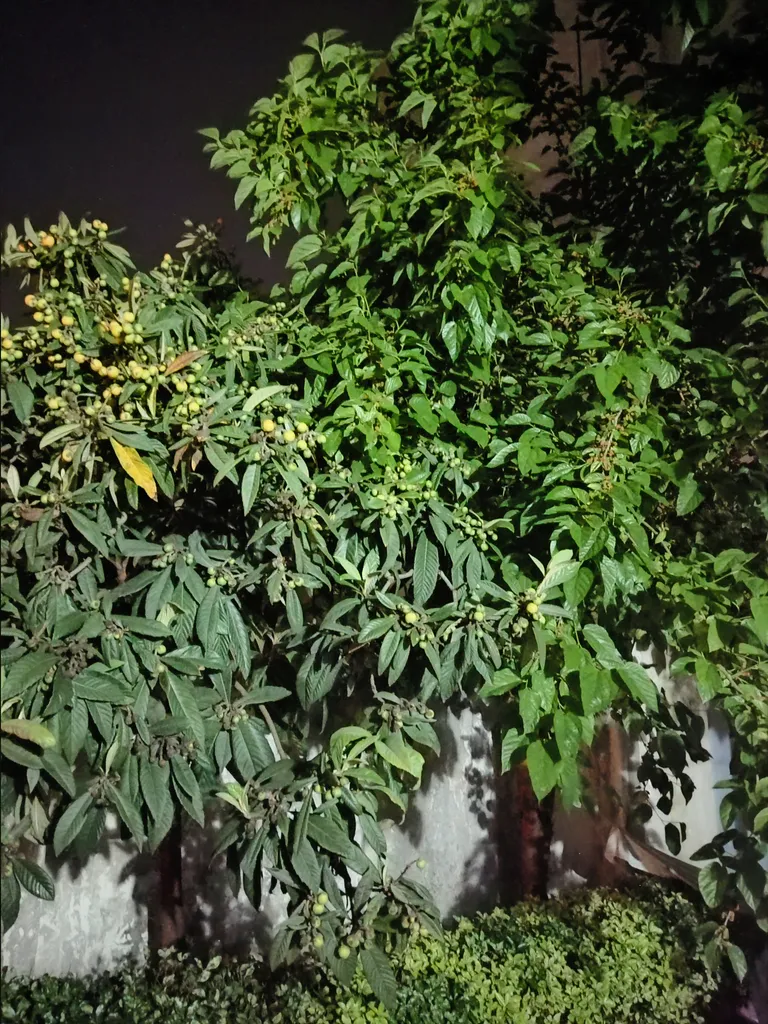 گوشی موبایل آنر مدل X6b دو سیم کارت ظرفیت 128 گیگابایت و رم 6 گیگابایت