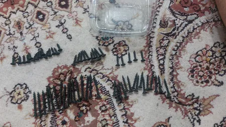 پیچ ام دی اف MDF 16-20-30-40 مجموعه 60 عددی