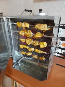 تجریه خرید کباب پز دادلیسان مدل 2021