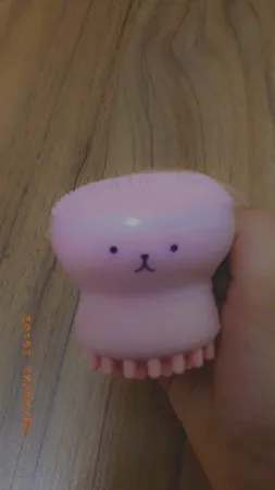 برس پاک‌سازی مدل B 0101