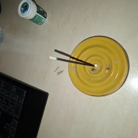 جاعودی مدل R02