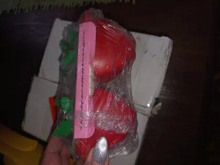 قالب بستنی مدل TR 2