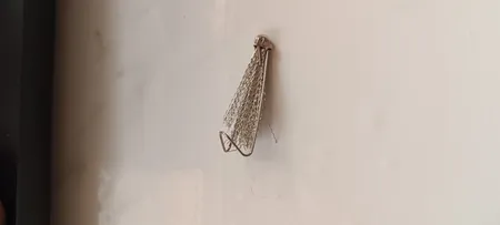 صافی چای مدل Clear