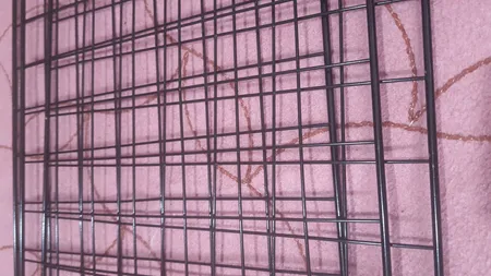 قفسه فلزی مدل NPT-2P-X