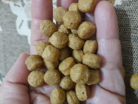 غذای خشک سگ سلبن مدل 1002 Small Adult وزن 2 کیلوگرم