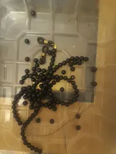 تجریه خرید بند عینک لاچو کد C-B