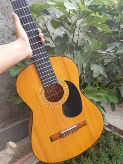 گلپیدور گیتار مدل R11