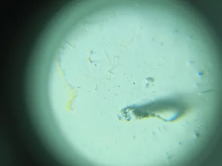 میکروسکوپ جیبی مدل 9592