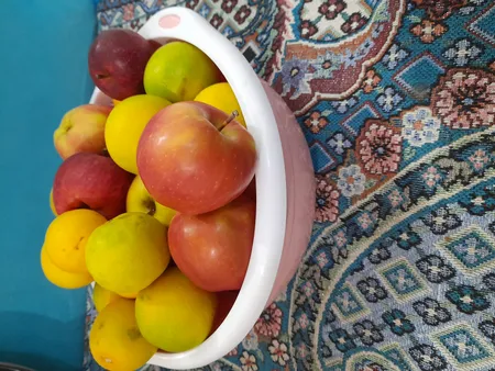 آبکش و آبگیر مدل Ziba-85 بسته 3 عددی