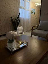 تجریه خرید آباژور رومیزی شارژی بی ال مدل کارتل