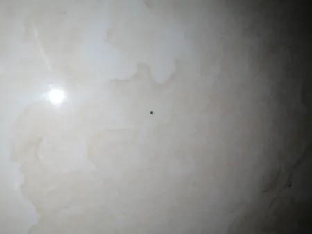 میکروسکوپ جیبی 60X مدل 9882