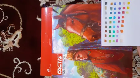 مداد رنگی 48 رنگ فکتیس کد 14