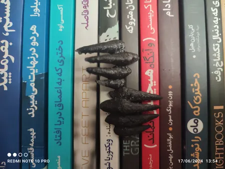 نشانگر کتاب مدل کتاب وحشت