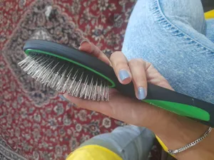 تجریه خرید برس مو دکتر مورنینگ مدل 01DR