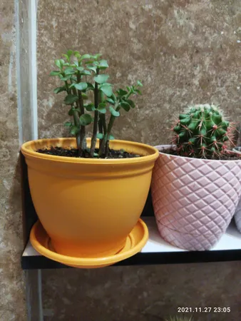 گلدان مدل 3015